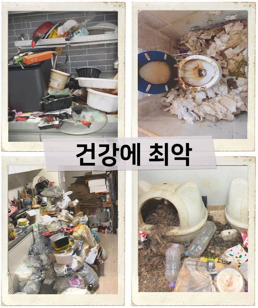 정직한청소명장_쓰레기집_악영향2